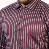Shirt:Full Sleeve_Regular Fit_Stripe_357#1